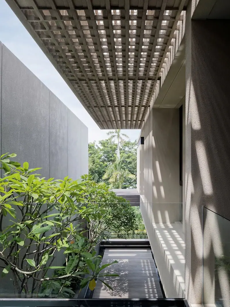 Sân trong với cây xanh