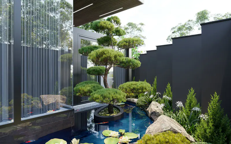 Tiểu cảnh hồ cá koi và tùng bonsai trong khe sân