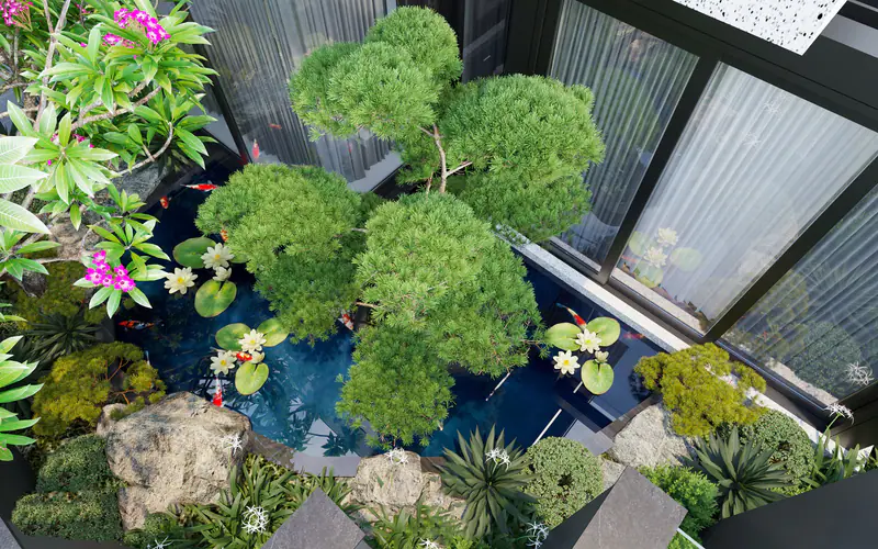 Hồ cá koi và cây cảnh nhìn từ trên xuống