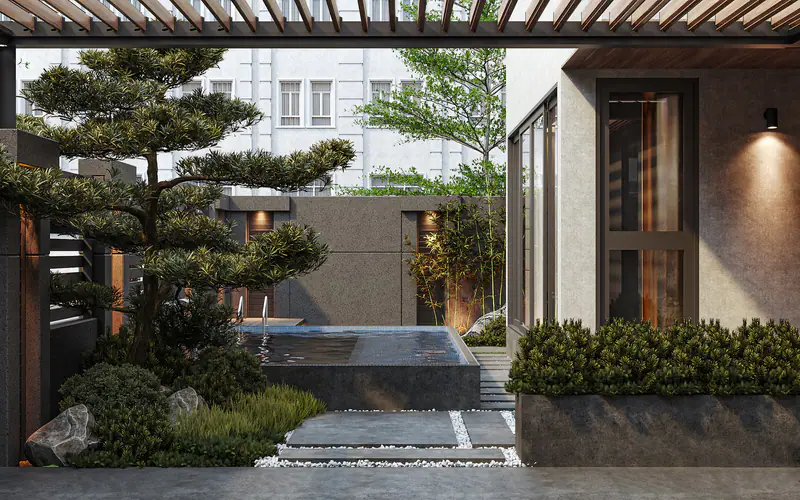 Sân vườn Nhật với tùng bonsai